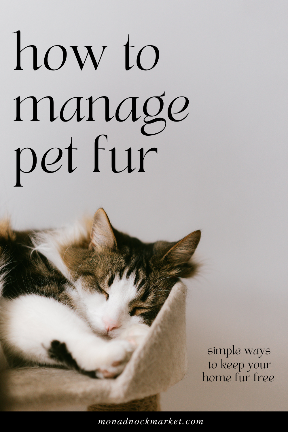 How to Manage Pet Fur